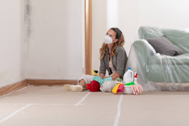 Reliable Mold Remediation contractor in Lawrenceville, IL by Mold Remediation HQ